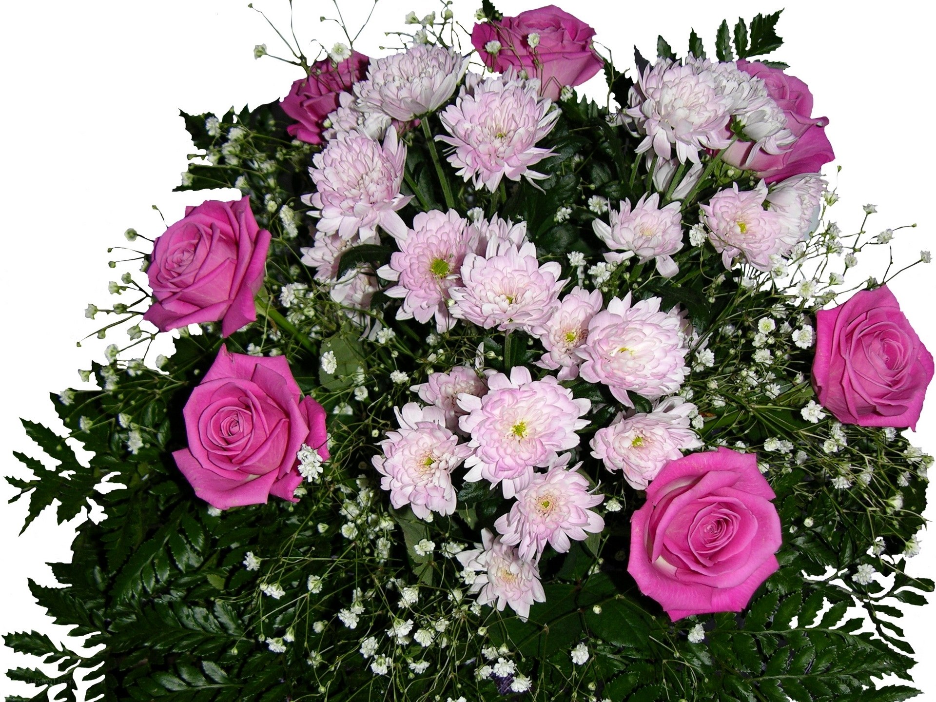 pink roses and chrysanthemums