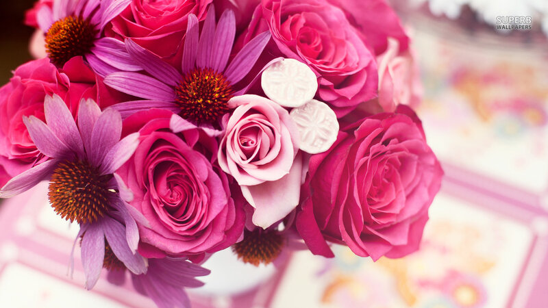 Pink Roses and Coneflowers — Calm, Photograph, Flowers
