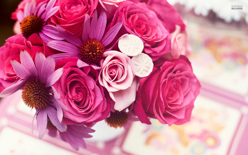 Pink Roses and Coneflowers — Calm, Photograph