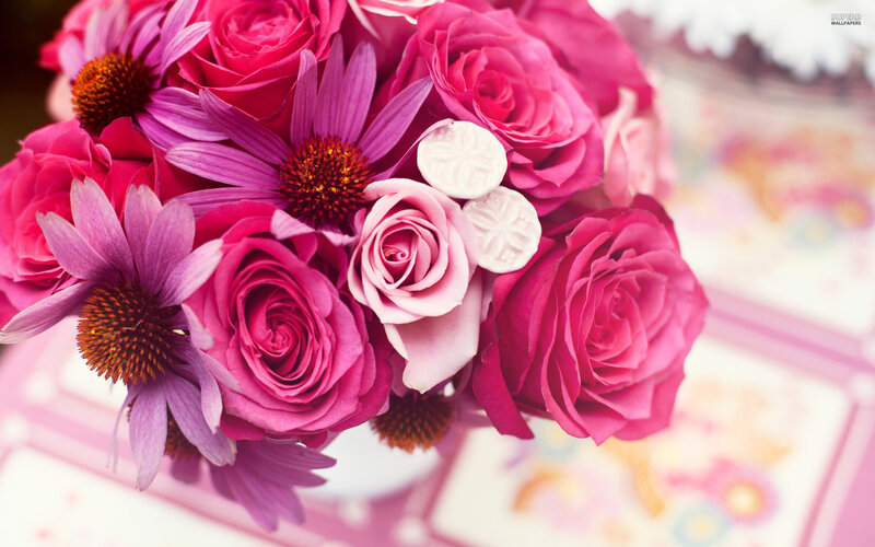 Pink Roses and Coneflowers — Calm