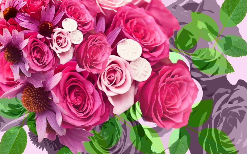 Pink Roses and Coneflowers