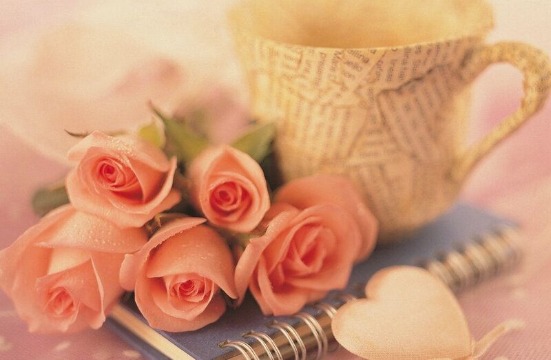Pink Roses and Cup — Calm, Photograph