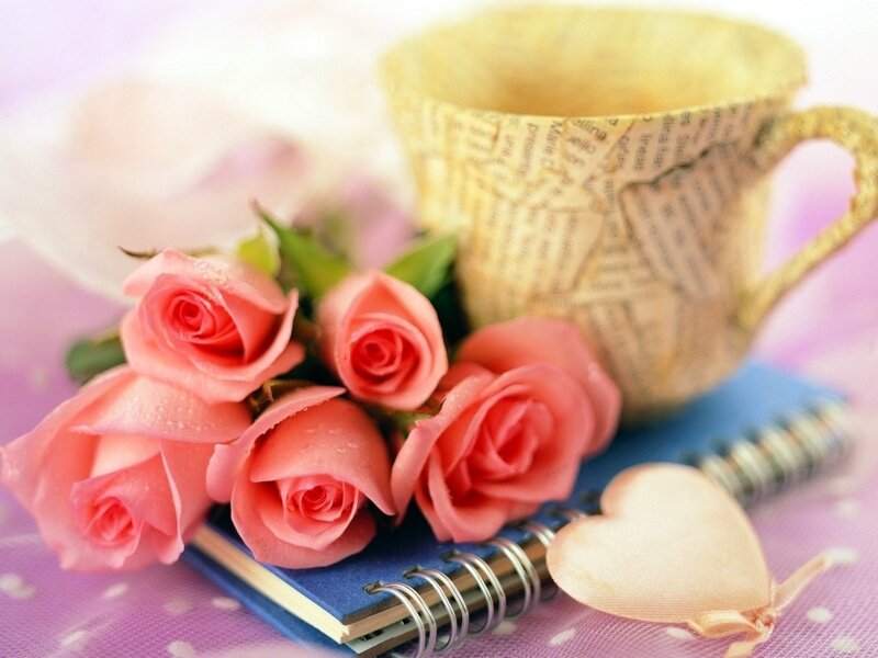 Pink Roses and Cup — Calm