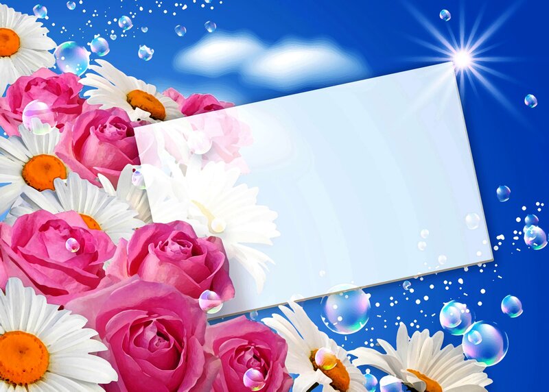 Pink Roses and Daisies — Blue