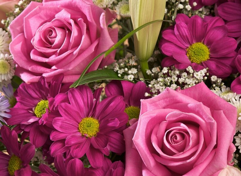 Pink Roses and Daisies — Calm, Photograph