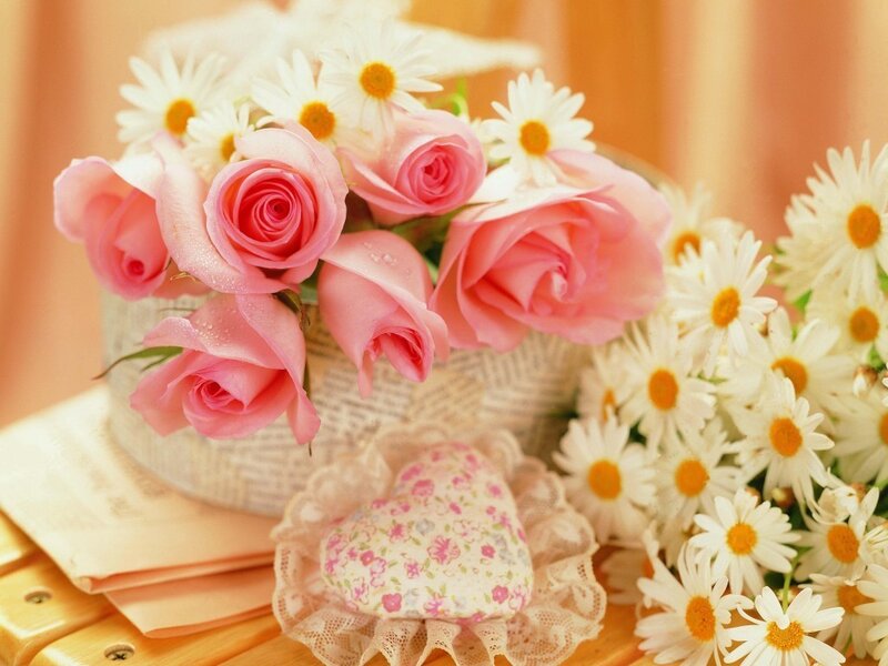 Pink Roses and Daisies — Calm