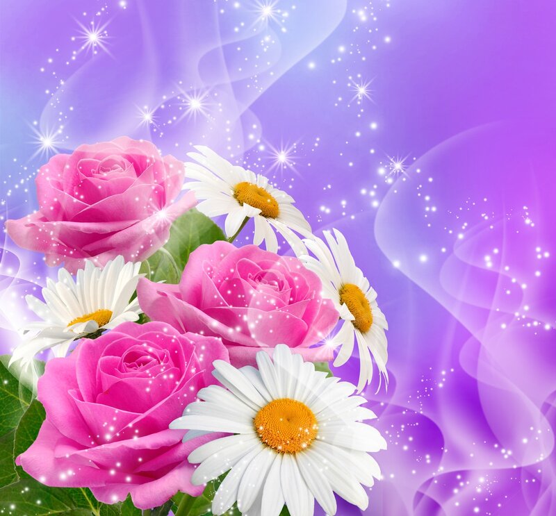 Pink Roses and Daisies — Purple, Dreamy