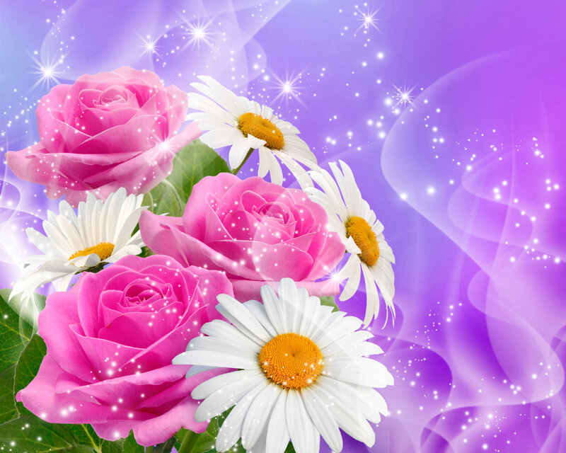 Pink Roses and Daisies — Purple