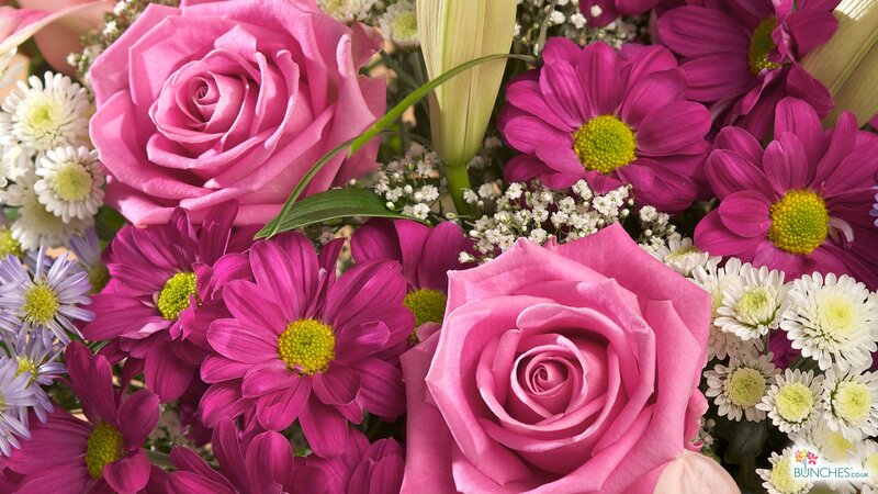 Pink Roses and Daisies — Vibrant, Photograph