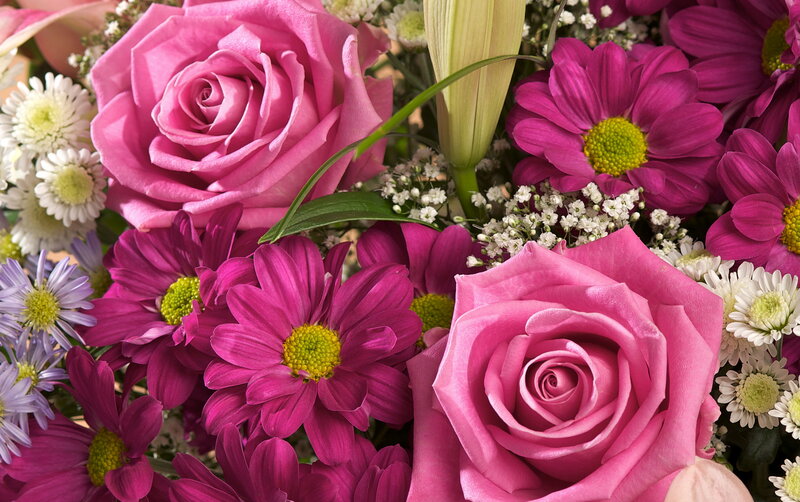 Pink Roses and Daisies — Vibrant