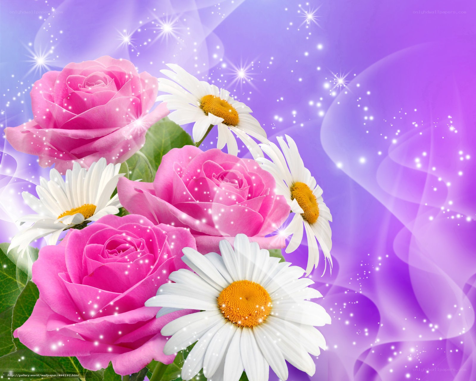 Pink roses and daisies