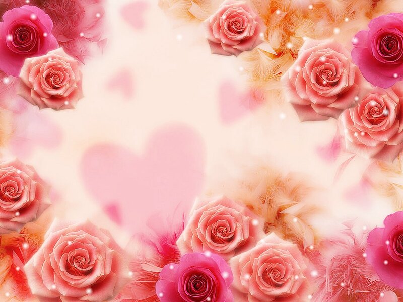 Pink Roses and Feathers — Romantic