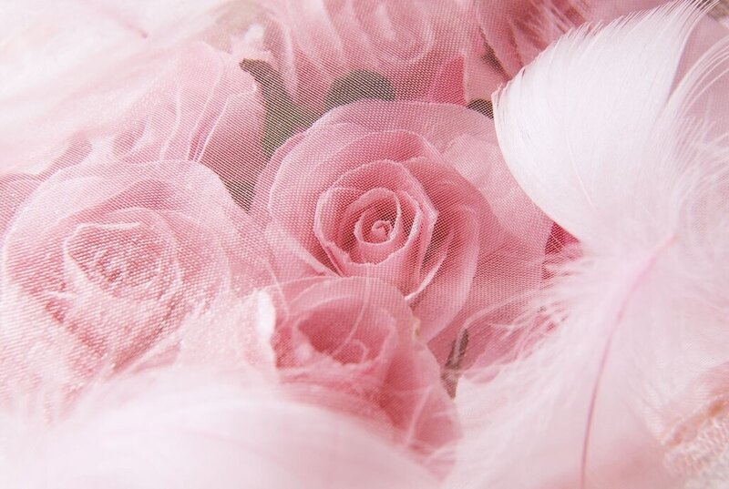 Pink Roses and Feathers — Soft