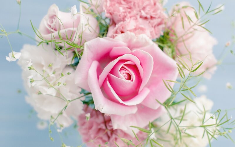 pink roses and flowers
