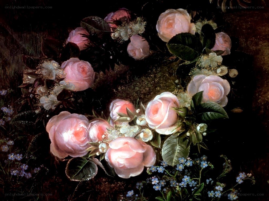 Pink roses and flowers
