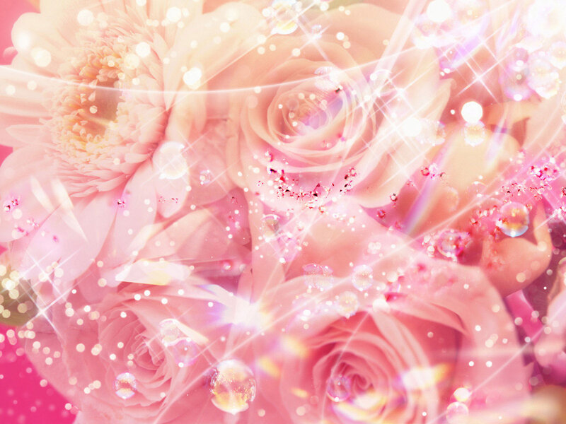 Pink Roses and Flowers — Dreamy