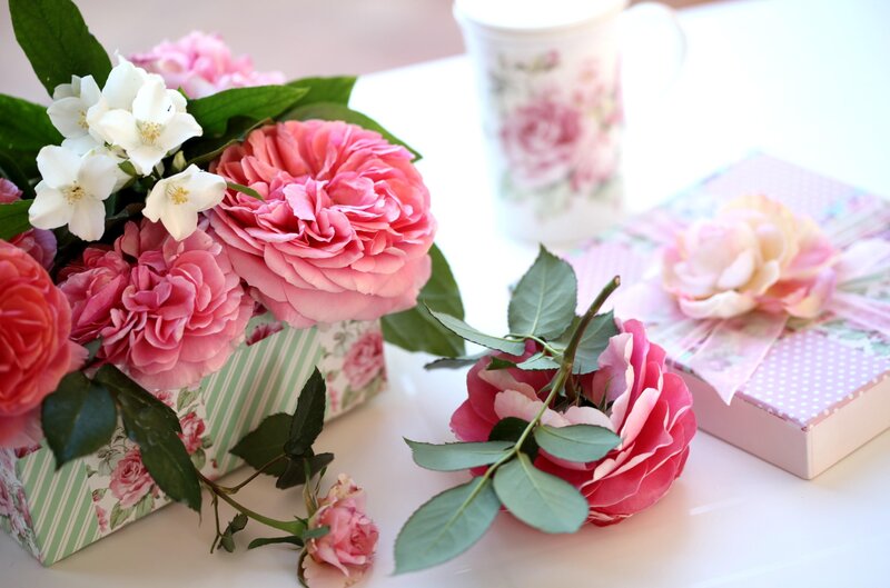 Pink Roses and Flowers — Serene, Morning