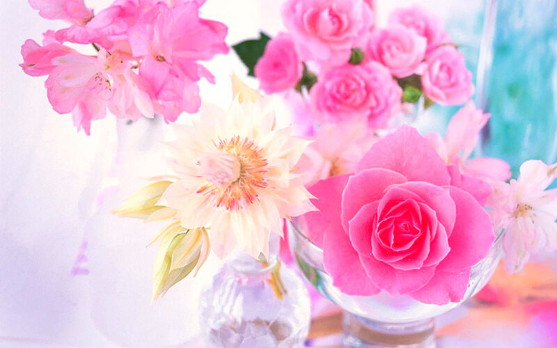 Pink Roses and Flowers — Serene, Photograph