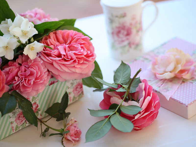 Pink Roses and Flowers — Serene