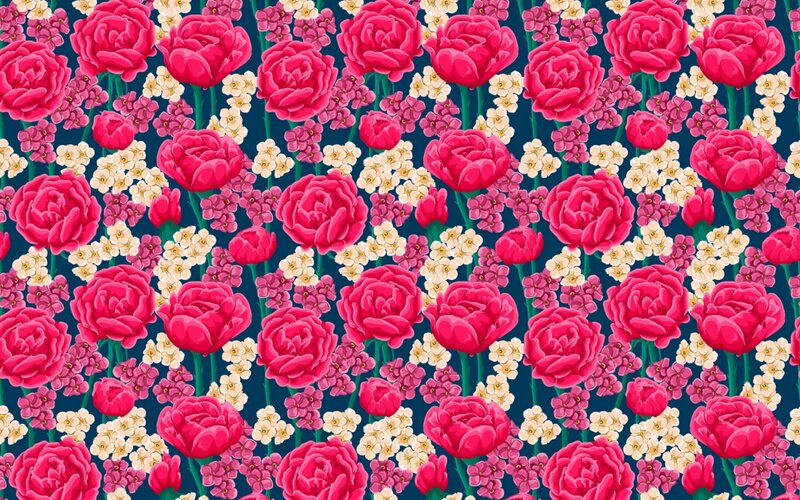 Pink Roses and Flowers — Vibrant