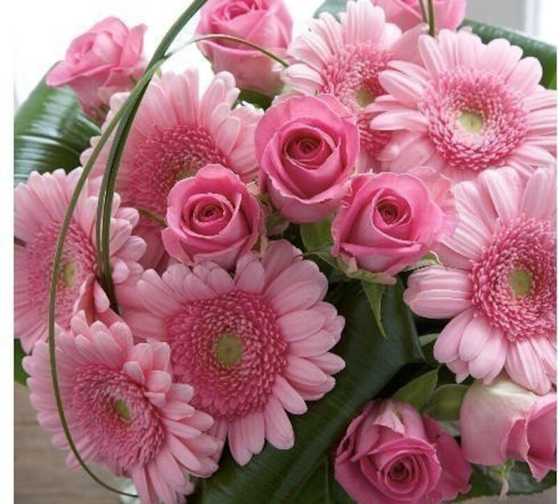 Pink Roses and Gerbera Daisies — Calm