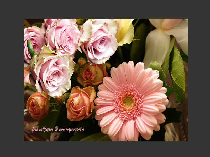 Pink Roses and Gerbera