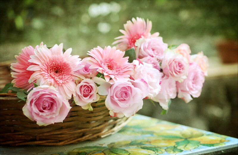 Pink Roses and Gerberas — Serene, Afternoon, Photograph, Basket