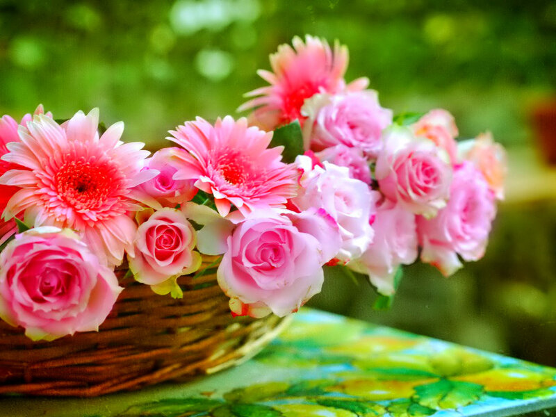 Pink Roses and Gerberas — Serene