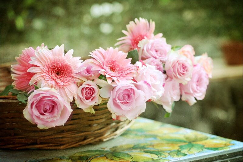 Pink Roses and Gerberas