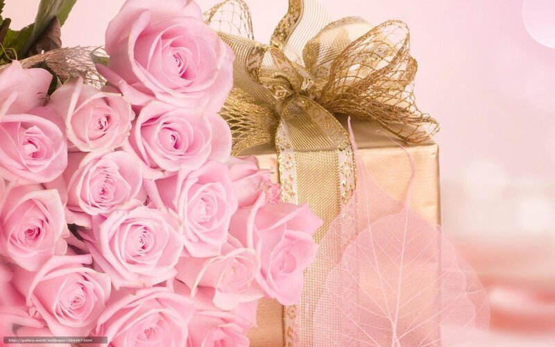 Pink roses and gift box