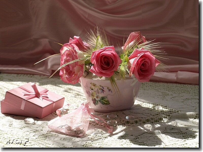 Pink roses and gift box