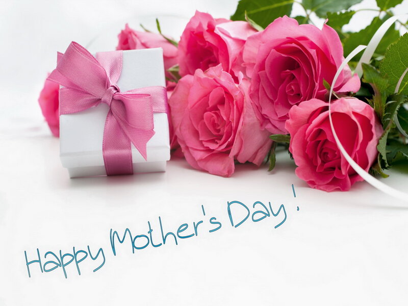 Pink Roses and Gift Box — Celebratory, Photograph