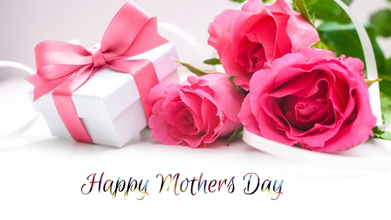 Pink Roses and Gift Box — Celebratory
