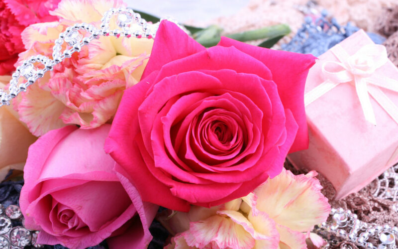 Pink Roses and Gift Box — Festive