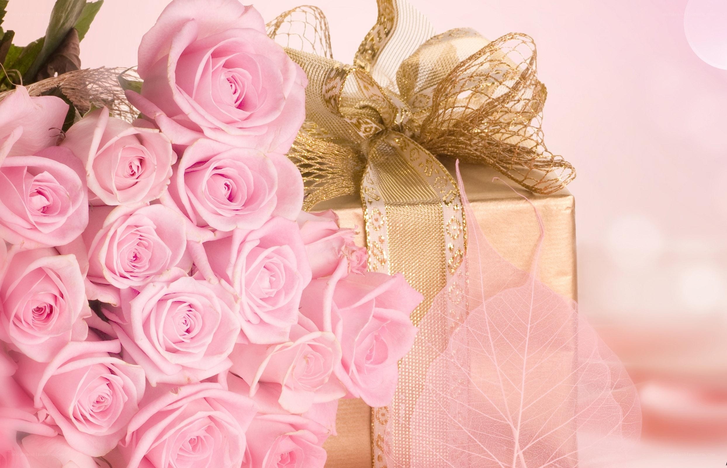 Pink roses and gift box