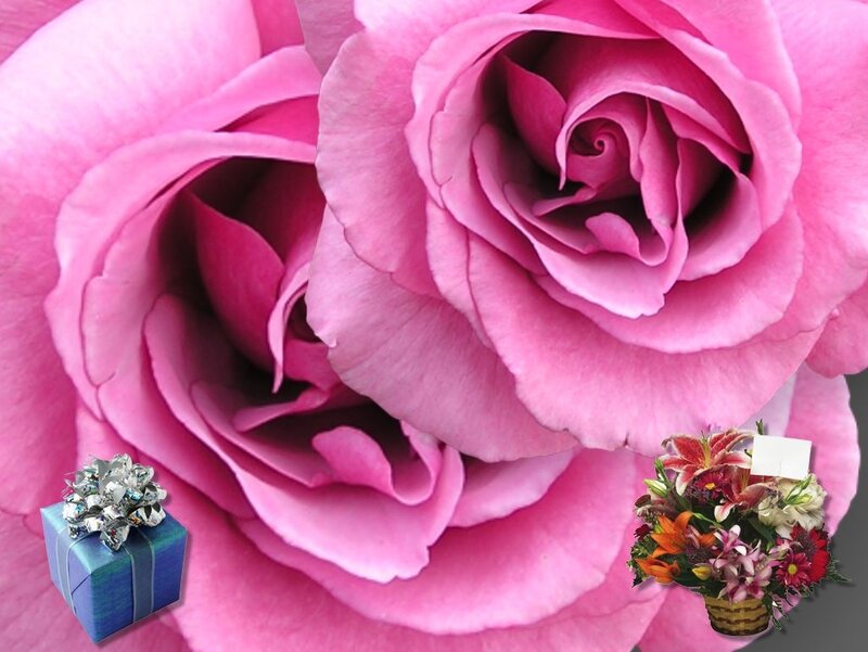 Pink Roses and Gifts