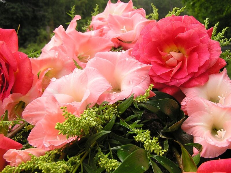 Pink Roses and Gladiolus