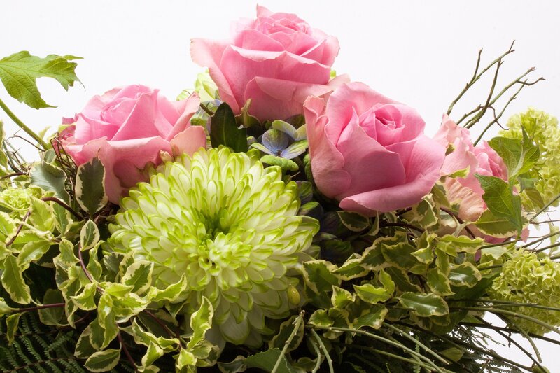 Pink Roses and Green Chrysanthemum