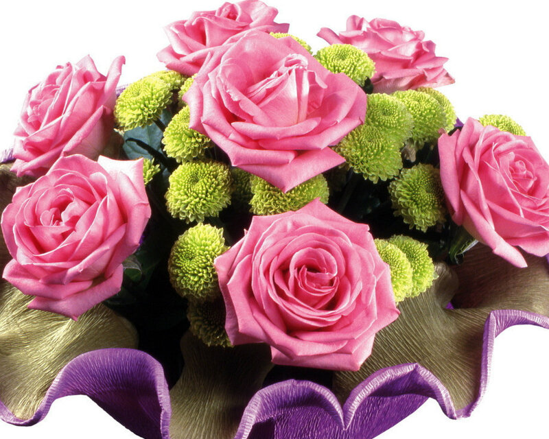 Pink Roses and Green Chrysanthemums — Festive, Photograph