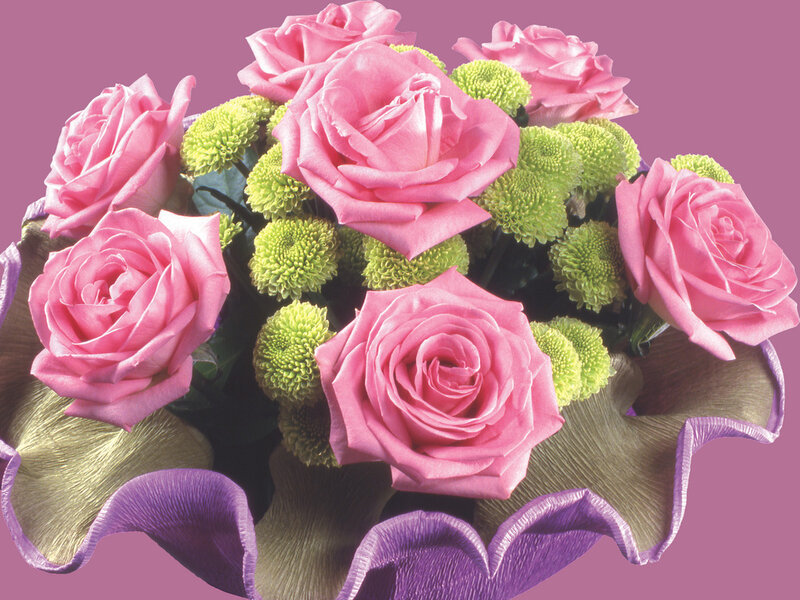 Pink Roses and Green Chrysanthemums