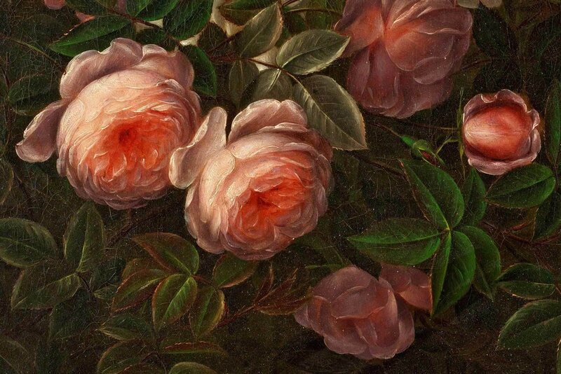Pink Roses and Green Leaves — Calm