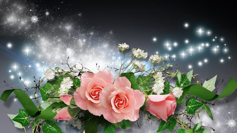 Pink Roses and Green Leaves — Dreamy