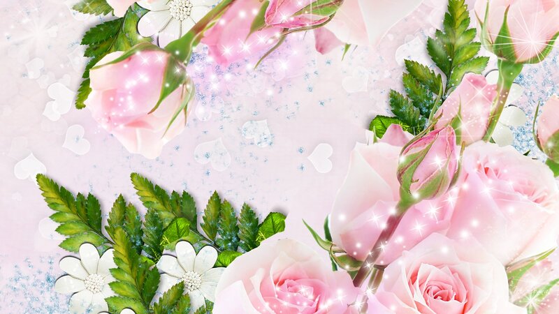 Pink Roses and Green Leaves — Romantic