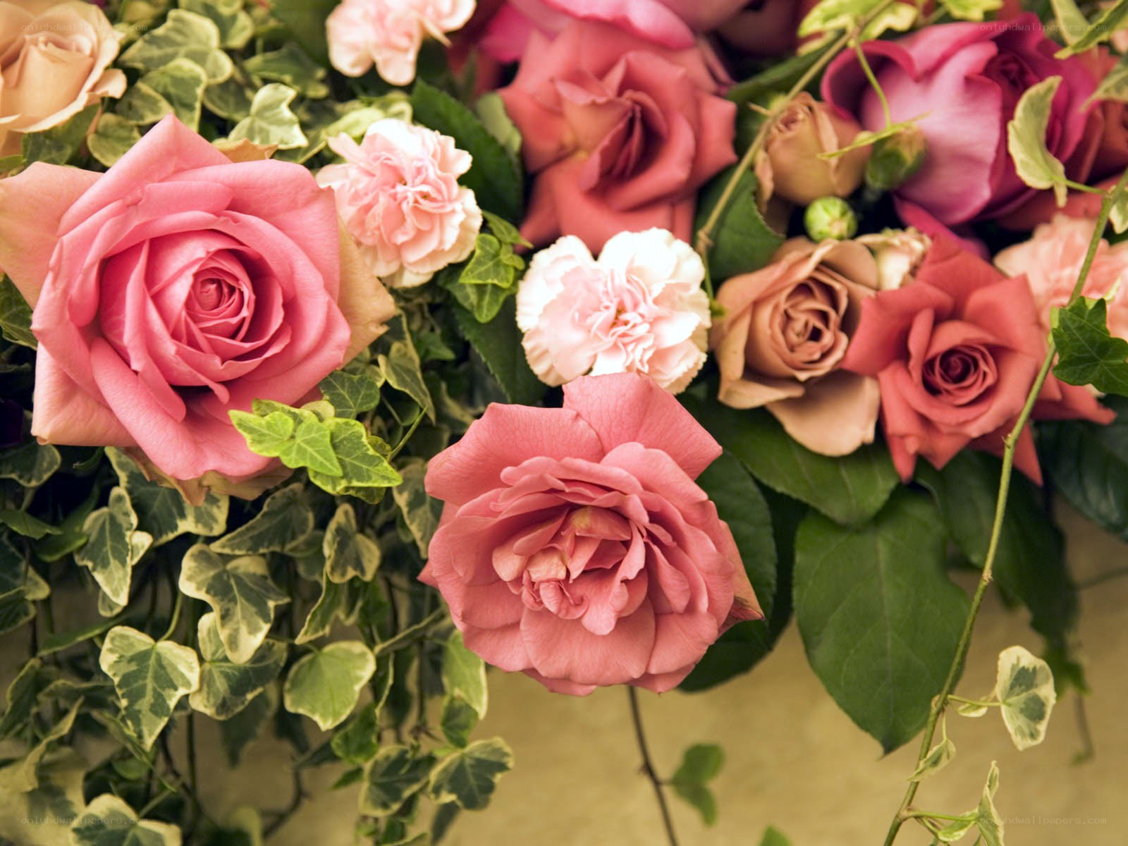 Pink roses and greenery