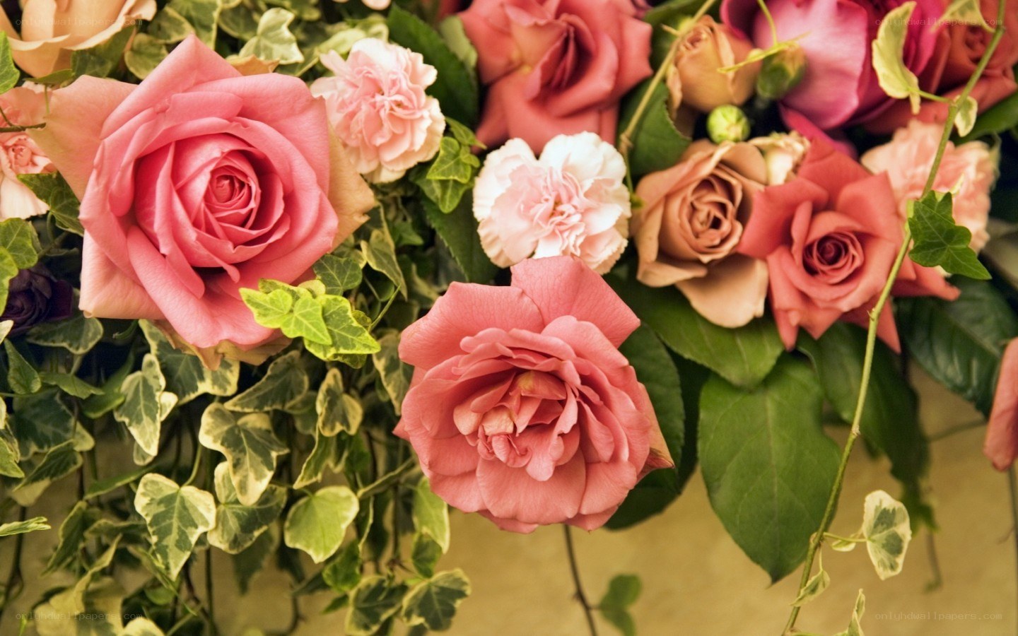 Pink roses and greenery