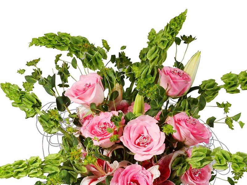 Pink Roses and Greenery — Calm