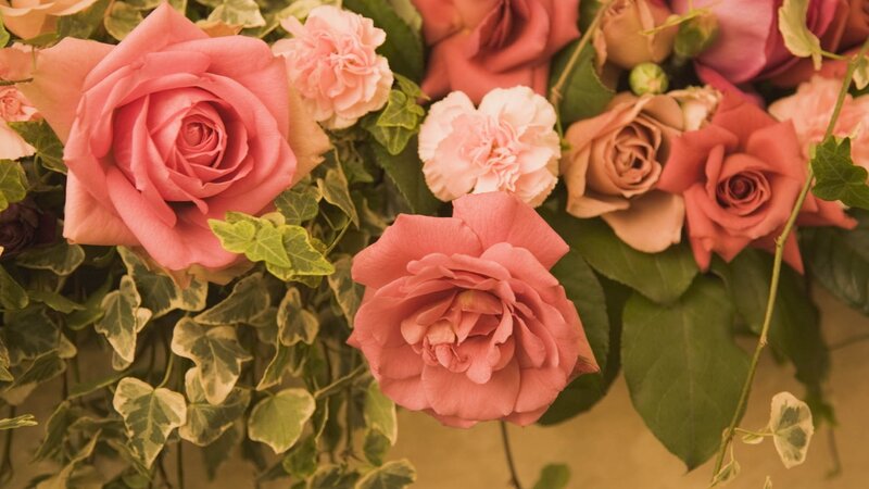 Pink roses and greenery