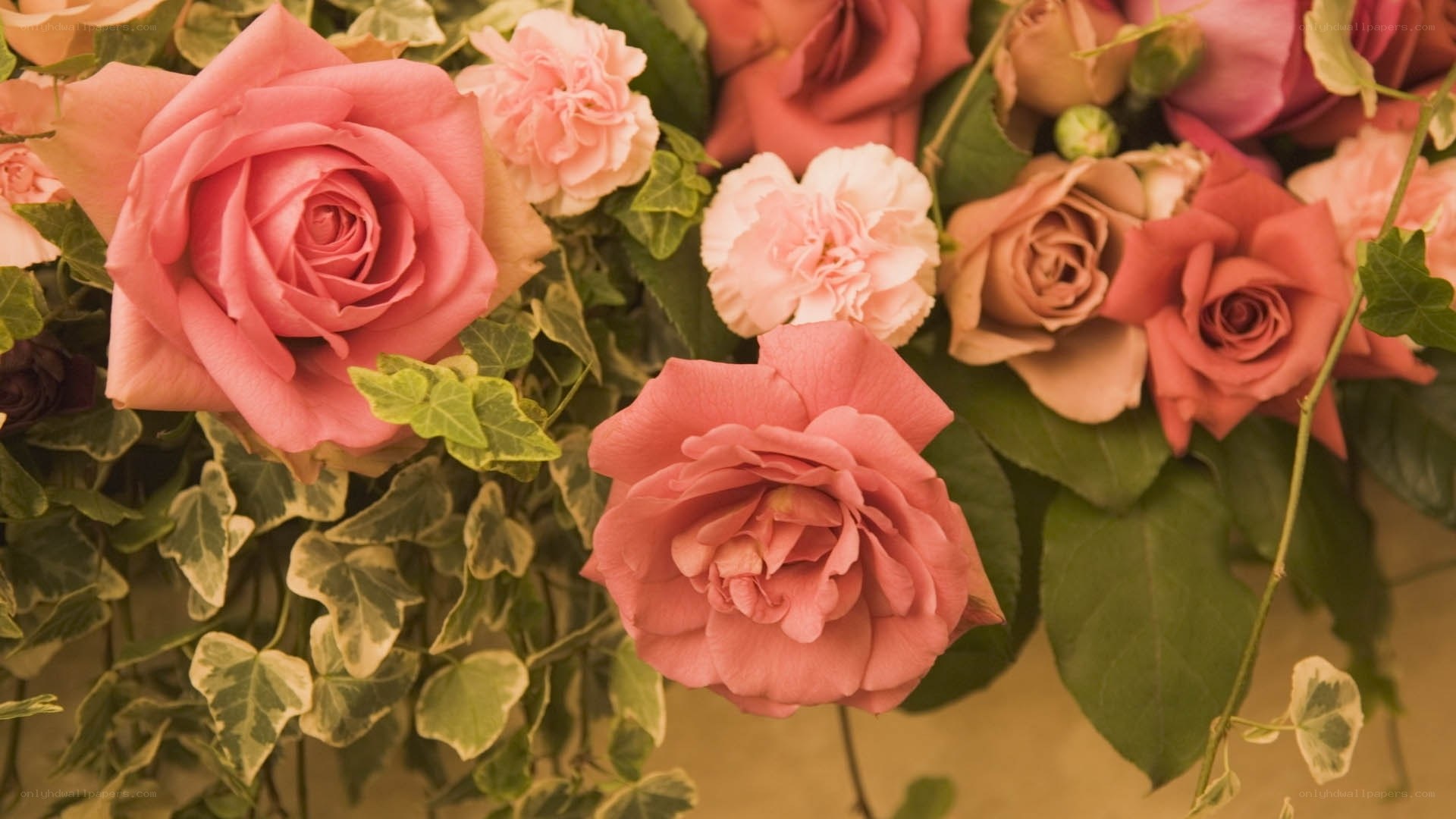 Pink roses and greenery