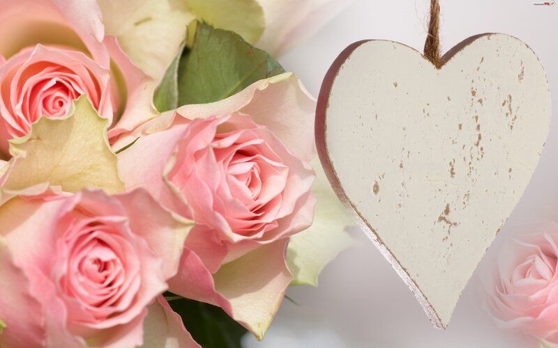 Pink Roses and Heart — Romantic, Photograph