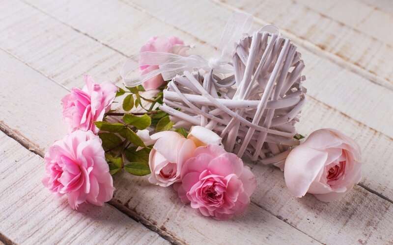 Pink Roses and Heart — Serene